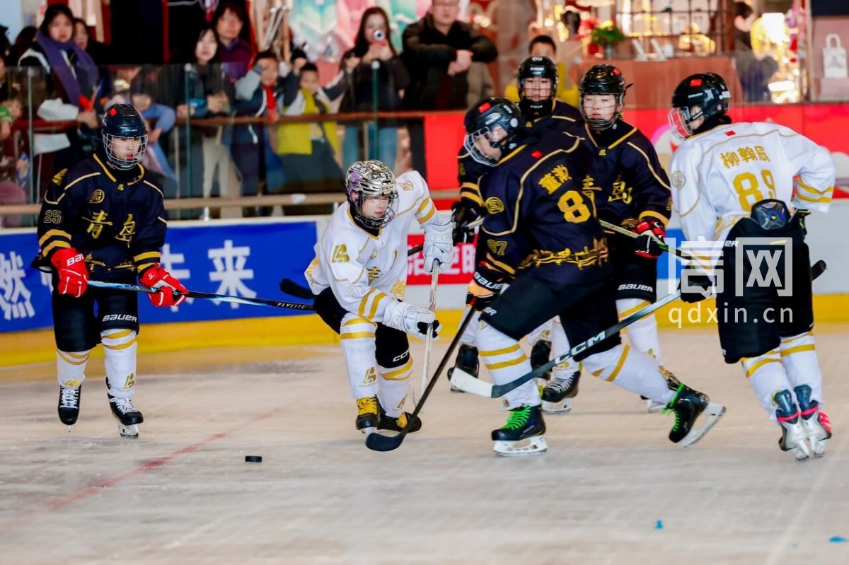 青岛启动多项冰雪主题活动 点燃冬季全民健身热情