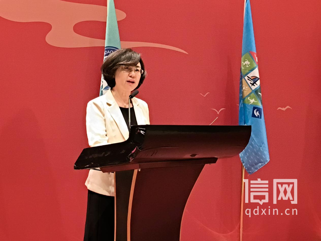 桥牌界“华山论剑”又双叒来了！“中建交通杯”2026年全国桥牌团体赛青岛开赛