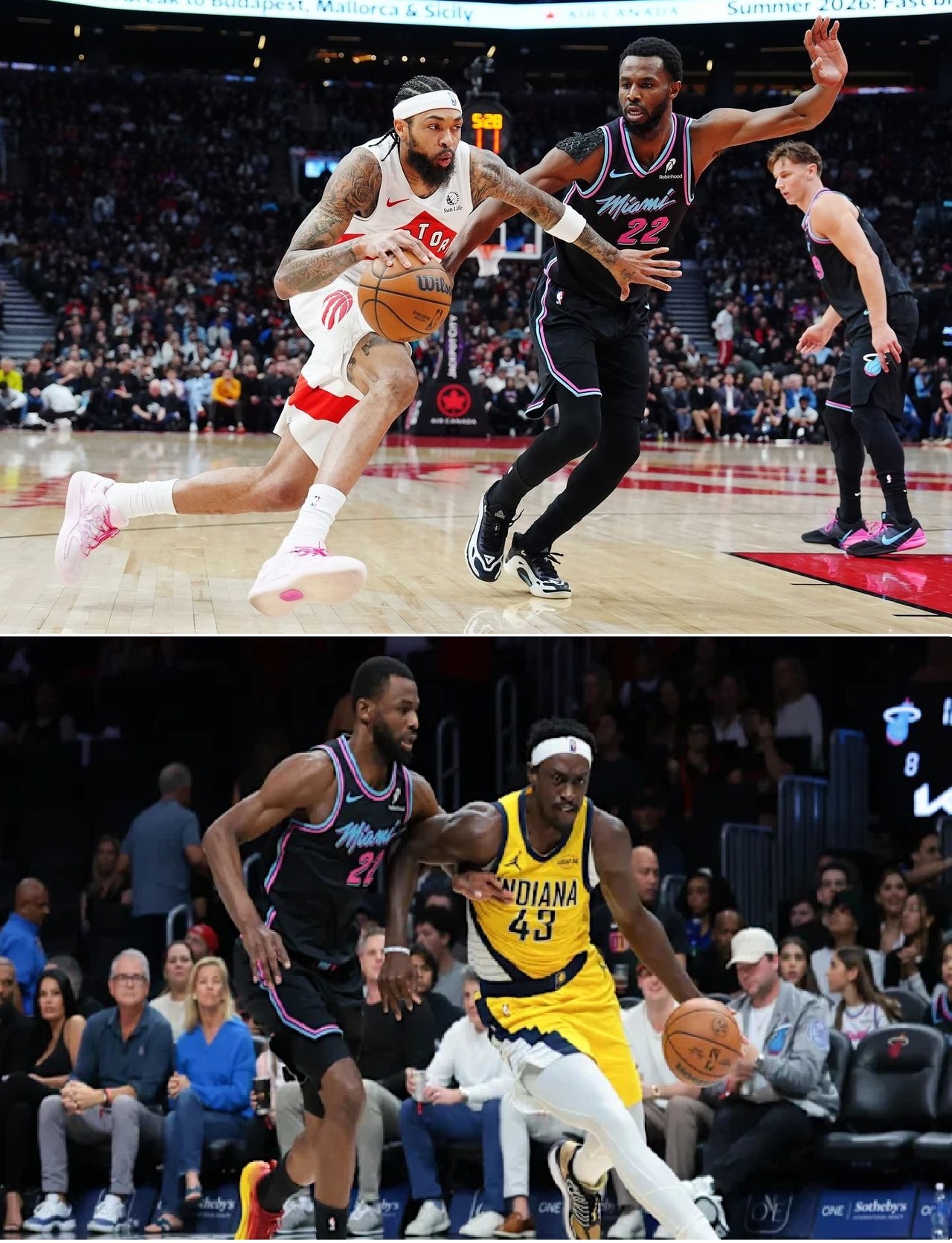 维金斯数据分析图